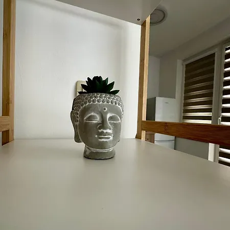 Tvs Apartment-city Centre شقة